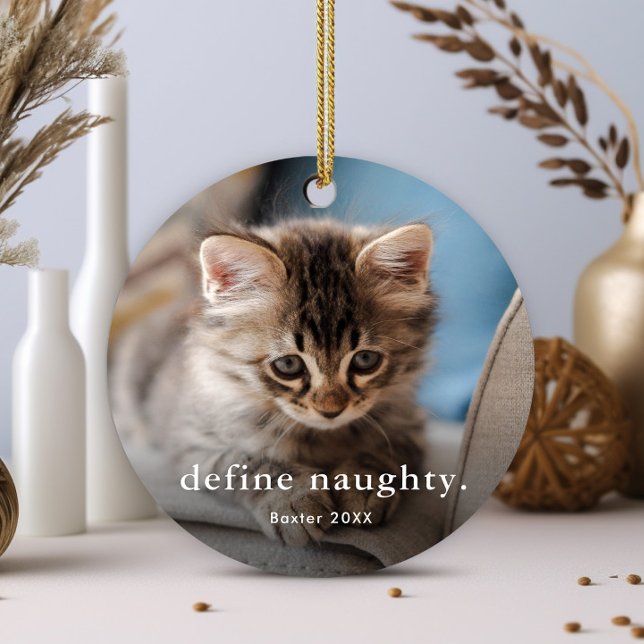 Funny Cat 2 Foto Weihnachten Ornament Aus Metall (Funny 2 photo cat pet christmas tree ornament.)