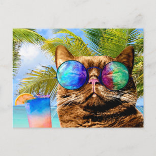 Funny Cat 675 Strand Feiertagspostkarte