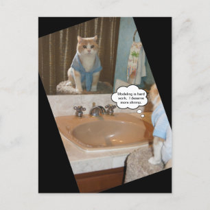 Funny Cat Affirmation About a Raise Postkarte