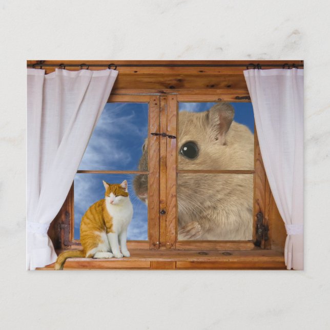 Funny Cat and Mouse Postkarte (Vorderseite)