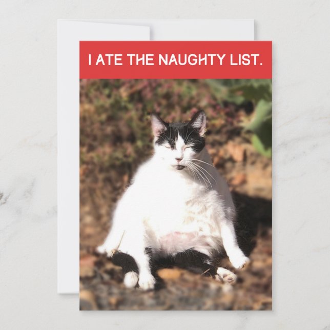 Funny Cat Ate Santa's Naughty List Weihnachten (Vorderseite)