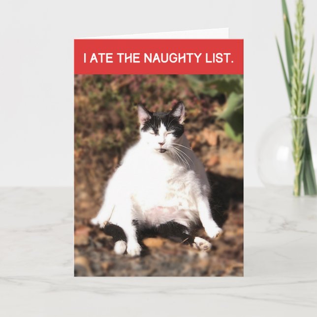 Funny Cat Ate Santa's Naughty List Weihnachten Karte (Vorderseite)