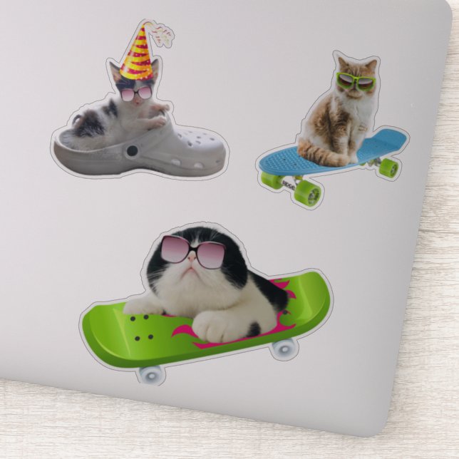 Funny Cat auf Skateboard Aufkleber (Detail)