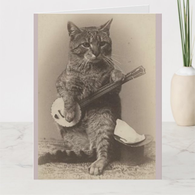 FUNNY CAT BANJO BIRTHDAY CARD DANKESKARTE (Vorderseite)