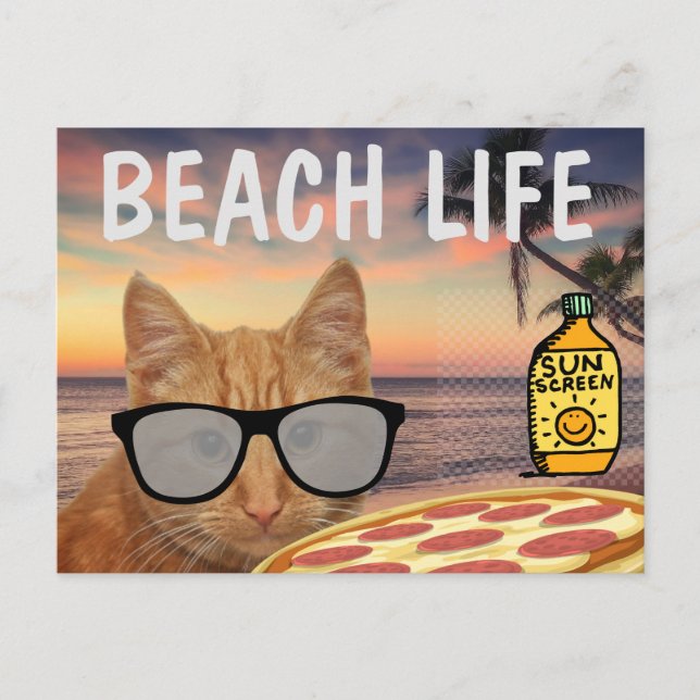 FUNNY CAT BEACH LIFE POSTCARD POSTKARTE (Vorderseite)