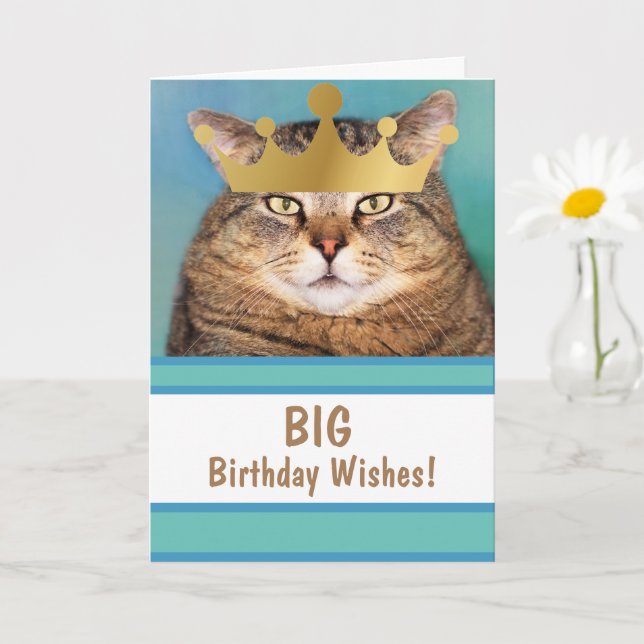 Funny Cat Big Birthday wünscht Karte (Kleine Pflanze)