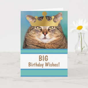 Funny Cat Big Birthday wünscht Karte
