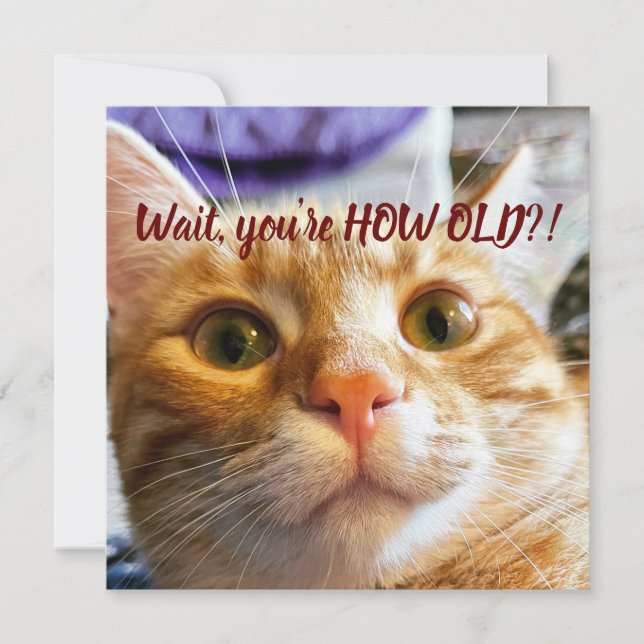 Funny Cat Birthday (Vorderseite)