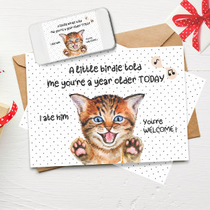 Funny Cat Birthday Card   Ein wenig Birdie erzählt Karte