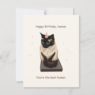 Funny Cat Birthday Card Feiertagskarte