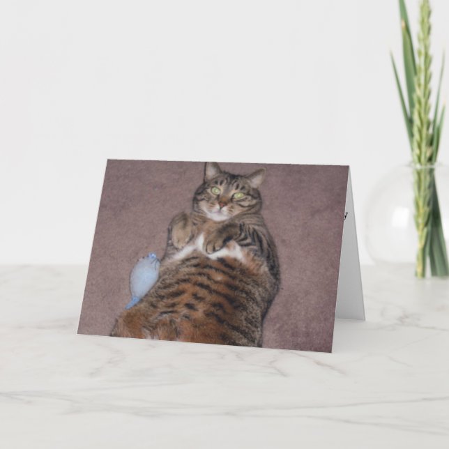 Funny Cat Birthday Card (Großes Print) Karte (Vorderseite)