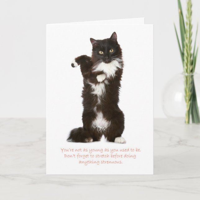 Funny Cat Birthday Card Karte (Vorderseite)