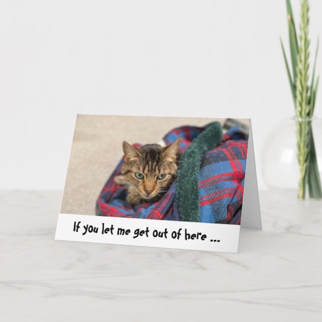 Funny Cat Birthday Card Karte (Vorderseite)