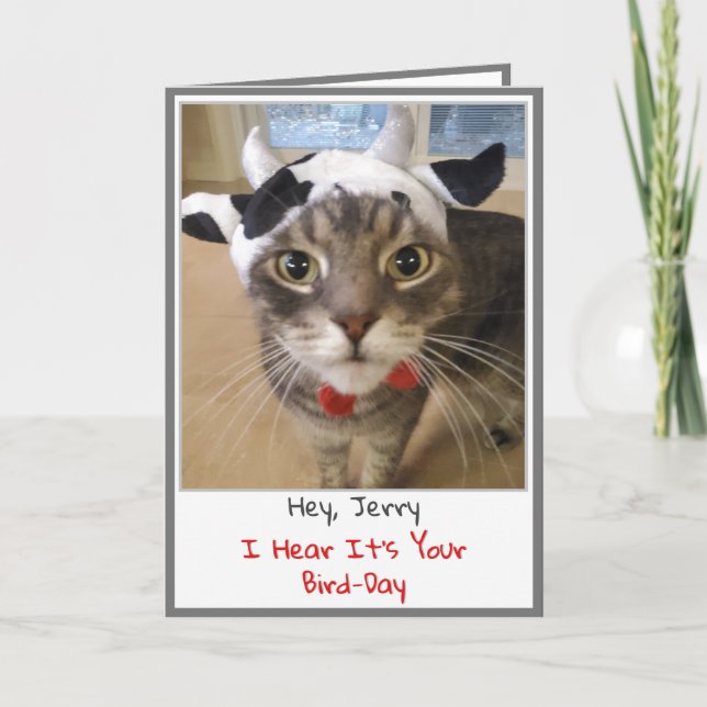Funny Cat Birthday Card Karte (Vorderseite)