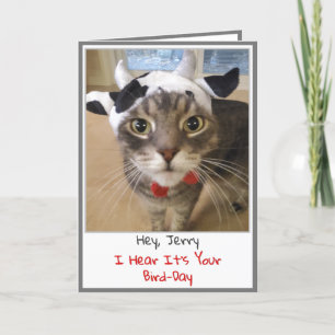 Funny Cat Birthday Card Karte