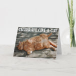 Funny Cat Birthday Greeting Card  Karte<br><div class="desc">Funny Cat Chilling Birthday greeting Card for the cat lovers in your life. This cute greeting card is a perfekt way to wish Happy Birthday to a friend,  co-worker,  family member or a special someone.</div>