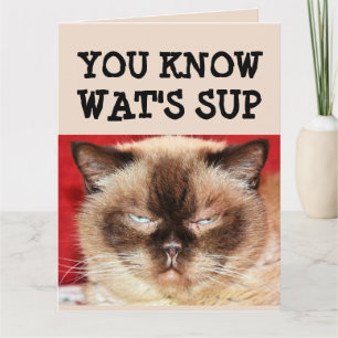 FUNNY CAT BIRTHDAY GROY Grußkarte Karte