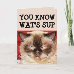 FUNNY CAT BIRTHDAY Grußkarte Karte