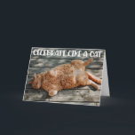 Funny Cat Birthday Grußkarte Karte<br><div class="desc">Funny Cat Chilling Birthday greeting Card for the cat lovers in your life. This cute greeting card is a perfekt way to wish Happy Birthday to a friend,  co-worker,  family member or a special someone.</div>