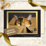 Funny Cat Birthday Postcard Postkarte<br><div class="desc">Eine niedliche Geburtstag-Postkarte mit einem Kätzchen in einem Karton mit eigenen Texten. Das Label-Bild auf der Vorderseite befindet sich auf einer separaten Datei und kann gelöscht werden,  wenn Sie es nicht benötigen.</div>