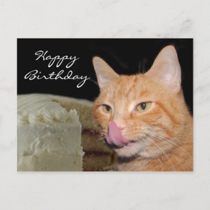 Funny Cat Birthday Postkarte