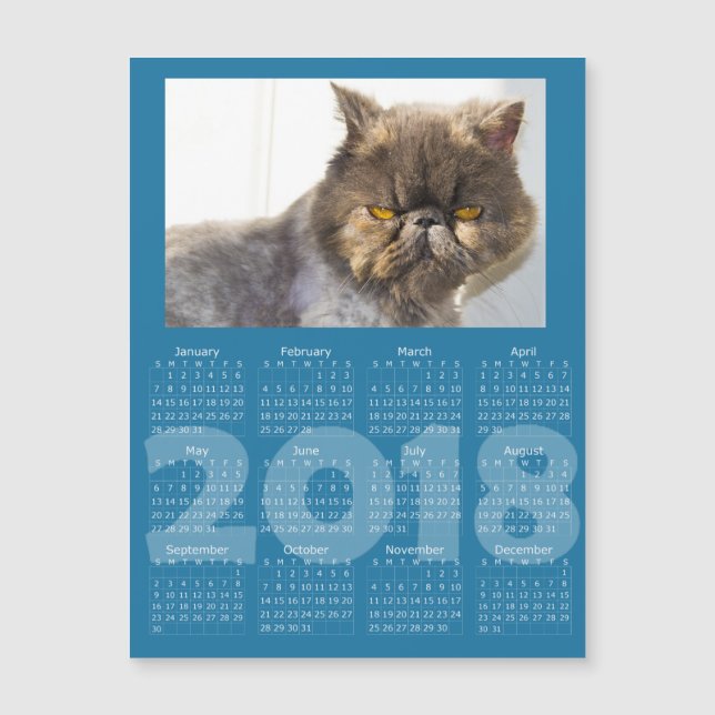 Funny Cat Blue 2018 Kalender Magnetkarte (Vorderseite)