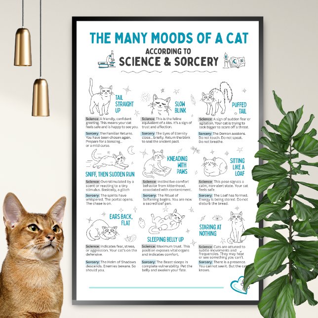 Funny Cat Body Language Poster – Feline Mood Chart (Von Creator hochgeladen)