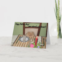 Funny Cat braucht Dinner Muttertagskarte