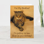 Funny Cat Brother Birthday Karte<br><div class="desc">Geburtstagskarte für einen Bruder mit Rupie,  der seine Pfote für einen besonderen Spaß ablegt. Im Foto zeigt er,  was er mit Business meint. Personalisieren Sie Ihre eigene Nachricht. Vielen Dank,  dass du gesucht hast! Fotos ©Christine Greenspan</div>