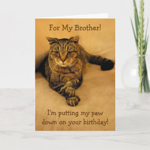 Funny Cat Brother Birthday Karte