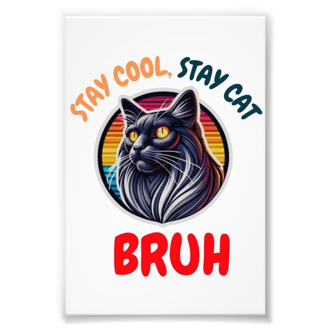 Funny Cat Bruh Cool Cat Vibes Bruh Fotodruck (Vorne)