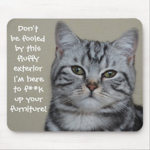 Funny Cat Capture Mess up Möbel Mousepad