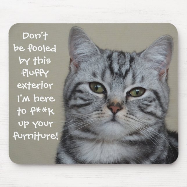 Funny Cat Capture Mess up Möbel Mousepad (Vorne)