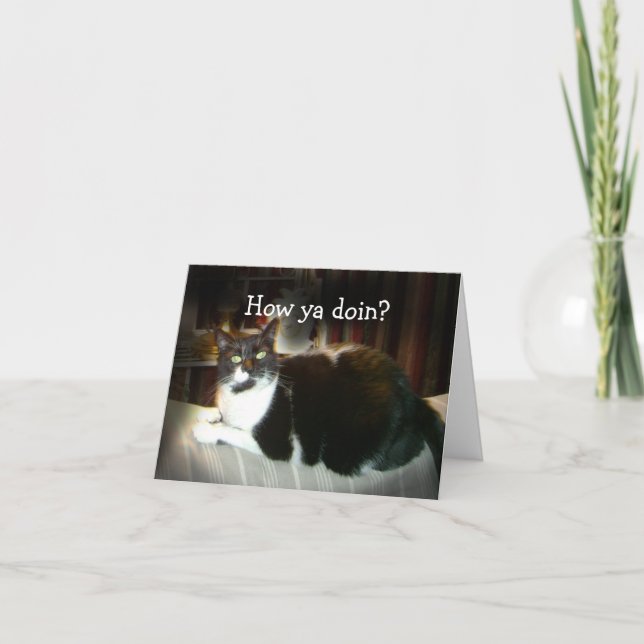 Funny Cat Card How Ya Doin, Denken Sie an Sie Karte (Vorderseite)