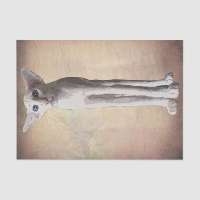 Funny Cat Cartoon Watercolor Seidenpapier (Vorderseite)