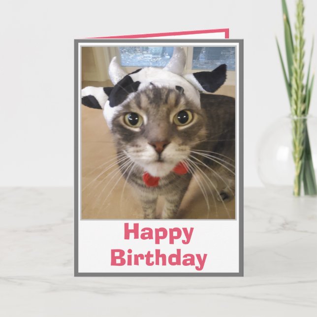 Funny Cat Cow Joke Birthday Karte (Vorderseite)