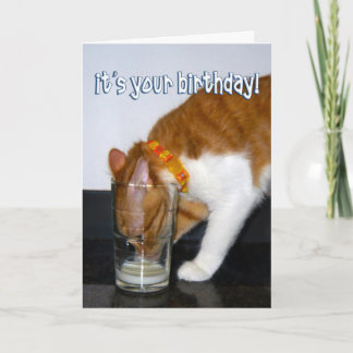 Funny Cat Drink aus Glas - Happy Birthday Karte