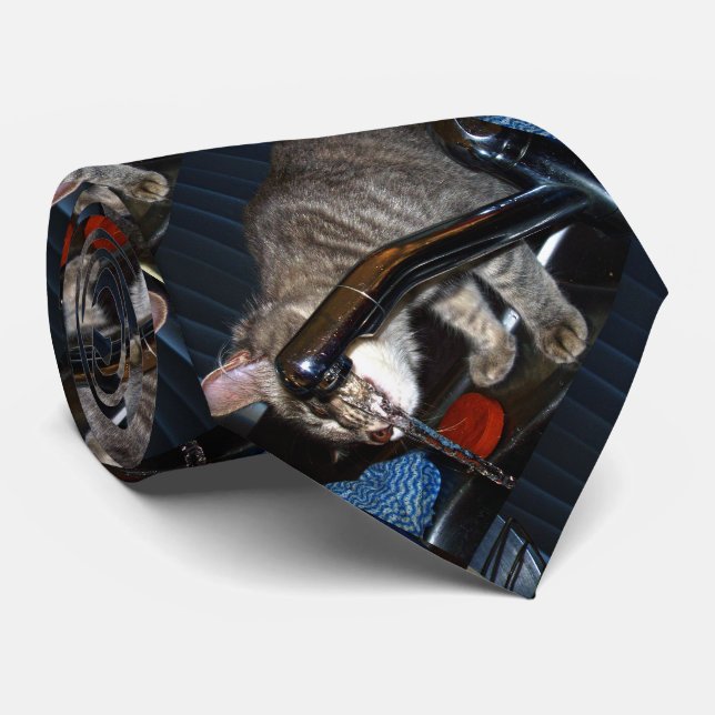 Funny Cat Drink von Stich, Neck Tie Krawatte (Gerollt)