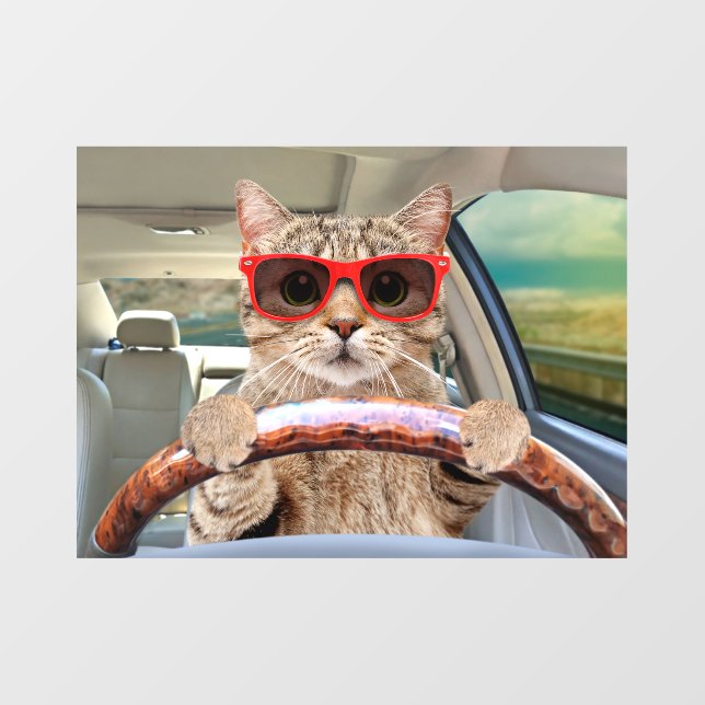 Funny Cat Driving Car Shade 11" x 8" Fensterheber Fensteraufkleber (Blatt)