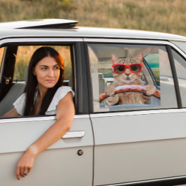 Funny Cat Driving Car Shade 12" x 12" Fensteraufkleber