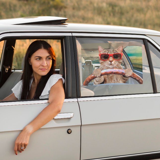 Funny Cat Driving Car Shade 16" x 12" Fensteraufkleber (Von Creator hochgeladen)