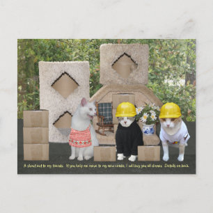 Funny Cat Einladung zu bewegen Postkarte