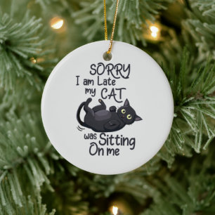 Funny Cat Entschuldigung - Verspätung wegen meiner Keramik Ornament