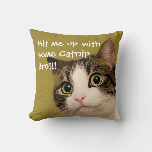 Funny Cat Foto Catnip Caption Kissen (Vorderseite)