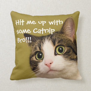 Funny Cat Foto Catnip Caption Kissen