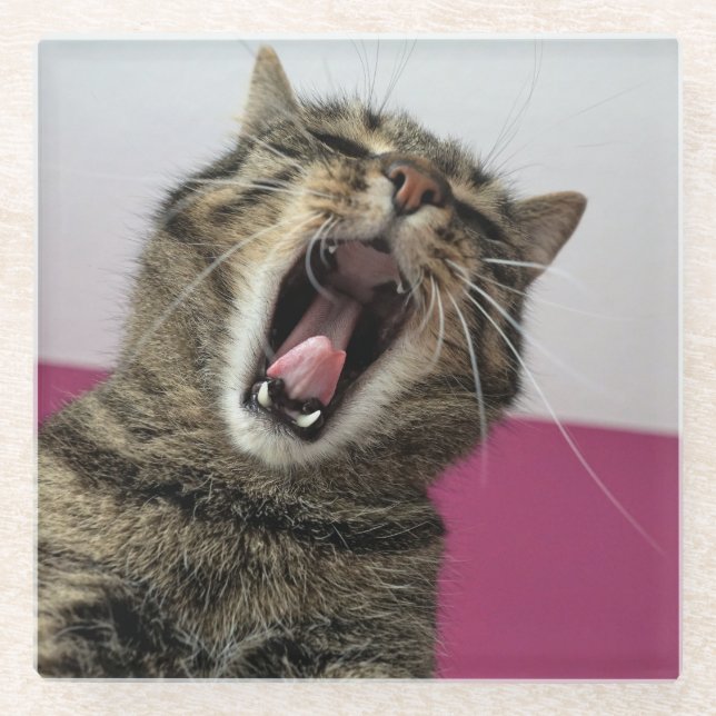 Funny Cat Foto Pet Love Glasuntersetzer (Vorderseite)