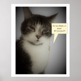 Funny Cat Foto Poster