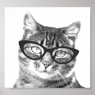 Funny Cat Foto Poster