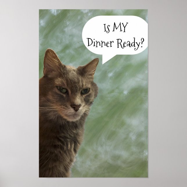 Funny Cat Foto Poster (Vorne)