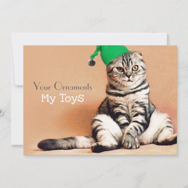 Funny Cat Frohe Weihnachten Personalisiert (Vorderseite)